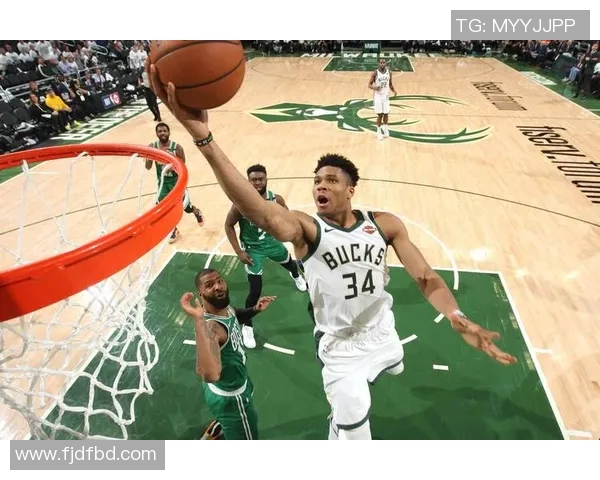 字母哥拒绝提前续约专注雄鹿夺冠前景与球队表现